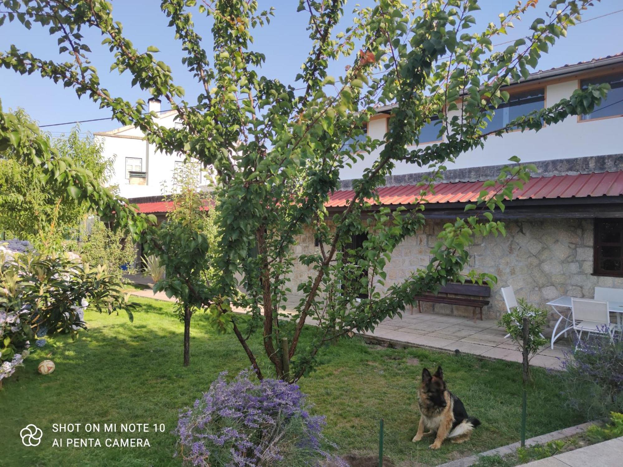 Real Santo Antonio Guest House Tarouca Εξωτερικό φωτογραφία