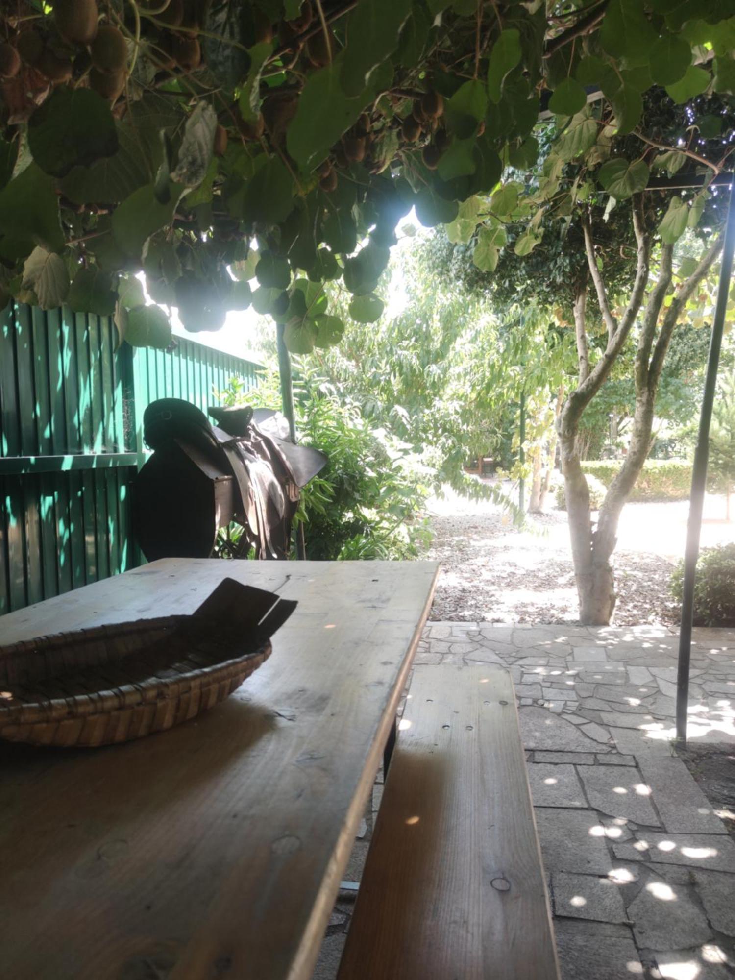 Real Santo Antonio Guest House Tarouca Εξωτερικό φωτογραφία