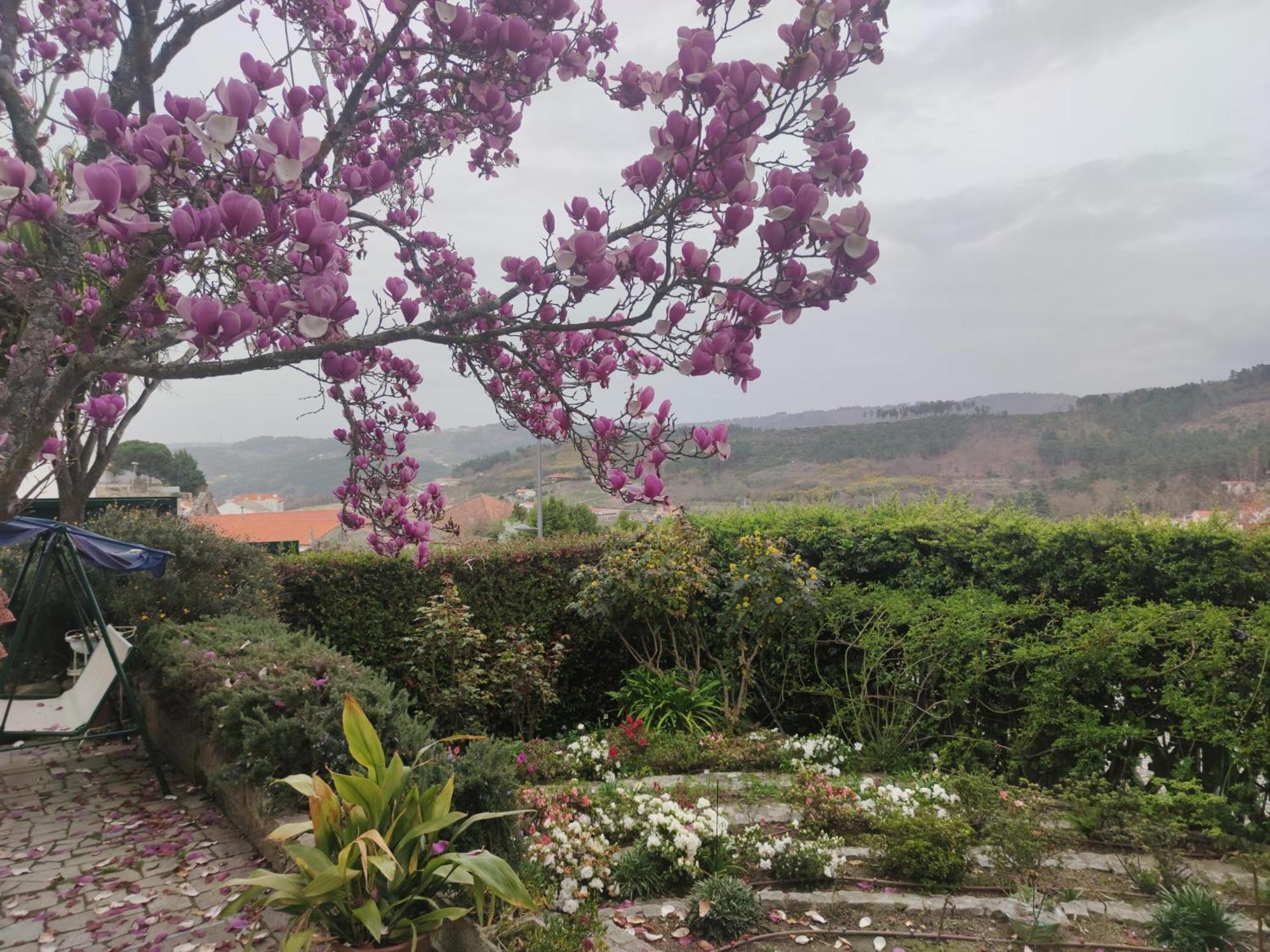 Real Santo Antonio Guest House Tarouca Εξωτερικό φωτογραφία