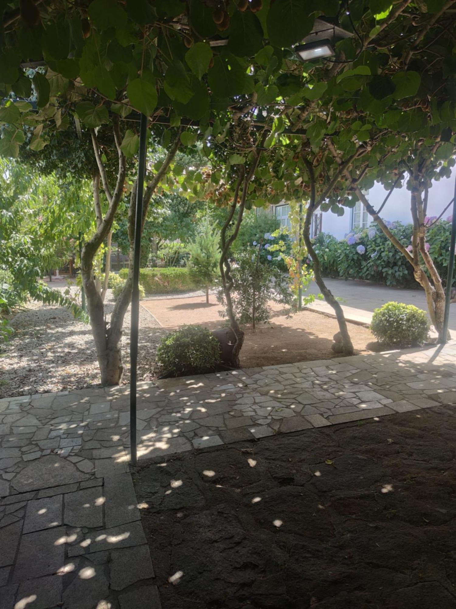 Real Santo Antonio Guest House Tarouca Εξωτερικό φωτογραφία