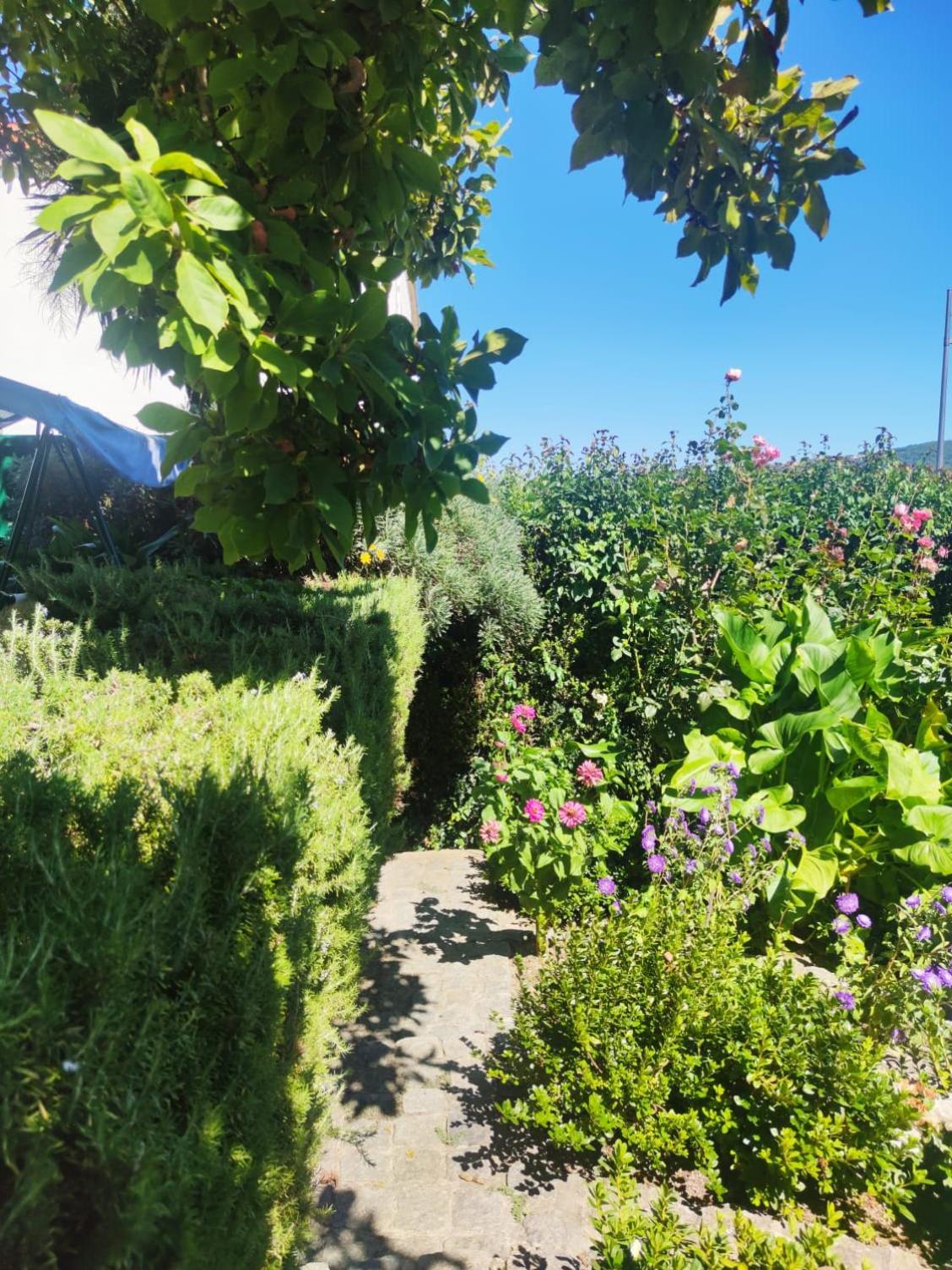 Real Santo Antonio Guest House Tarouca Εξωτερικό φωτογραφία