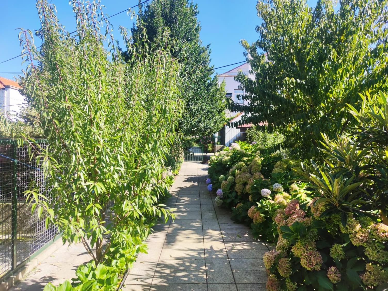 Real Santo Antonio Guest House Tarouca Εξωτερικό φωτογραφία