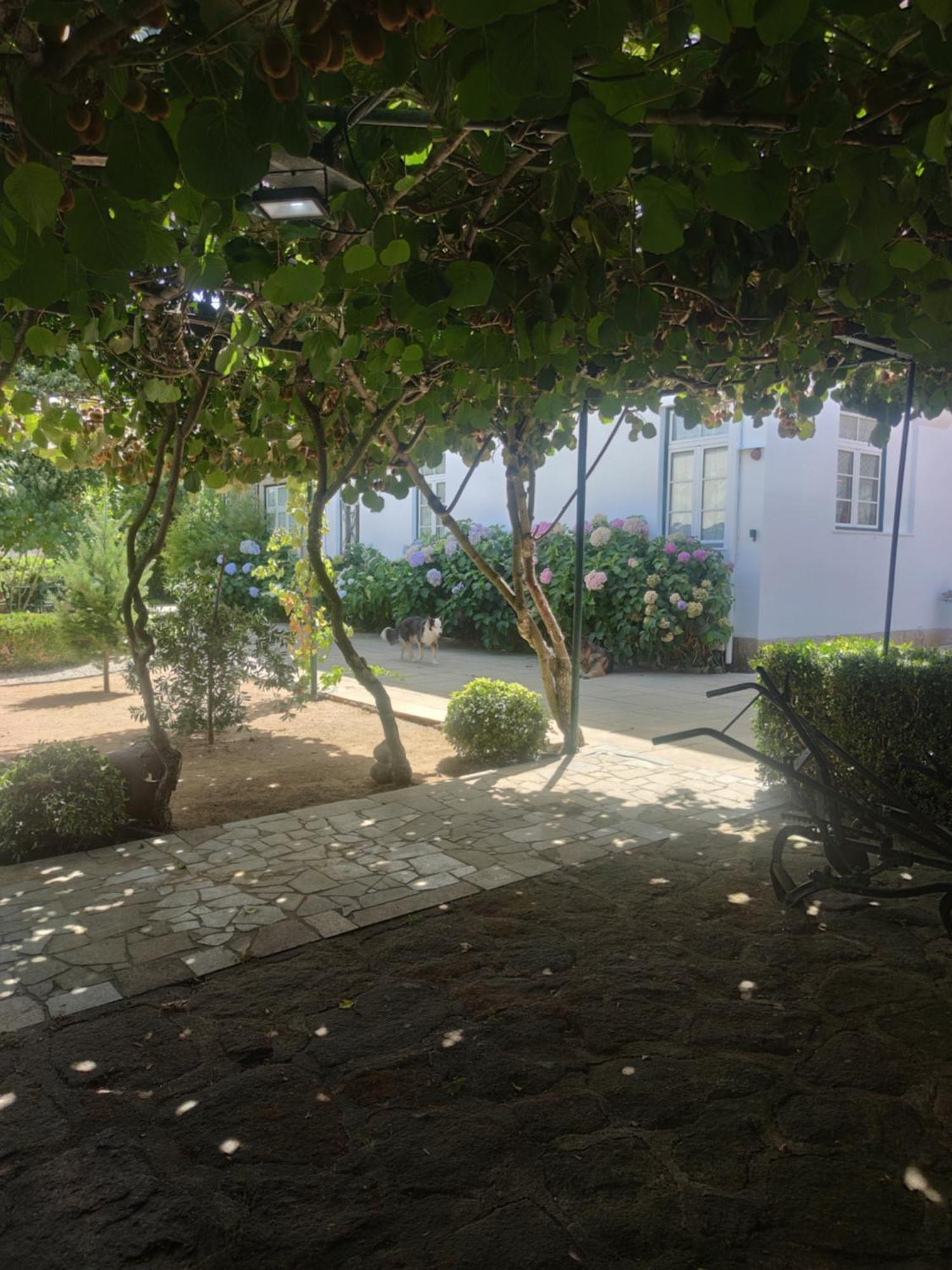 Real Santo Antonio Guest House Tarouca Εξωτερικό φωτογραφία